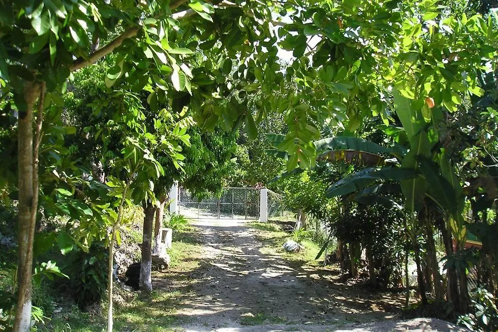 Moves Rasta Cottage Negril 0*,
