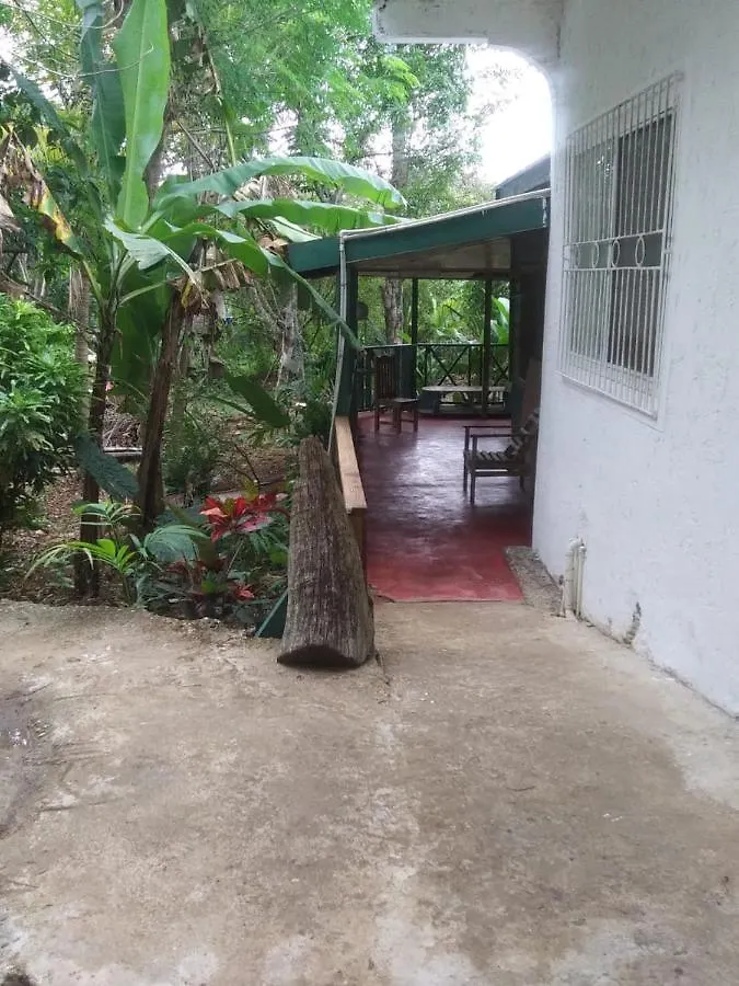 Moves Rasta Cottage Negril Holiday home