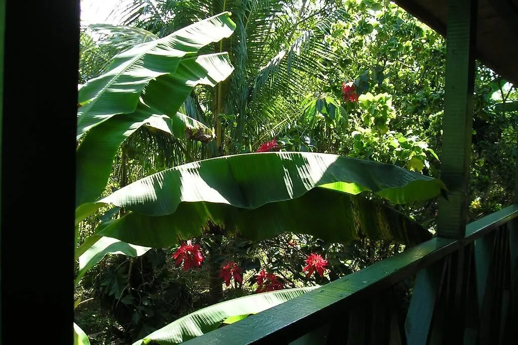 Moves Rasta Cottage Negril Holiday home