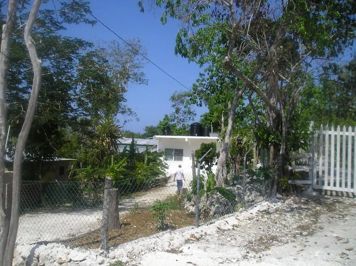 Moves Rasta Cottage Negril Jamaica